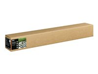 Epson Fine Art Textured - Bomull - matt - 515 mikroner - lys - Rull (111,8 cm x 15 m) - 300 g/m² - 1 rull(er) klutepapir - for SureColor SC-P20000, SC-P20000SE, SC-P8000, SC-P9000, SC-P9000V C13S450286