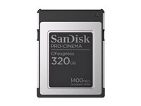 SanDisk PRO-CINEMA - Flashminnekort - 320 GB - CFexpress Type B SDCFEC-320G-GN4NN