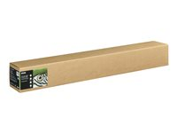 Epson Fine Art - Bomull - matt - 490 mikroner - lys - Rull (111,8 cm x 15 m) - 300 g/m² - 1 rull(er) klutepapir - for SureColor SC-P20000, SC-P20000SE, SC-P8000, SC-P9000, SC-P9000V C13S450272