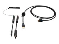 C2G 6ft (1.8m) 4K HDMI Premium Cable and Dongle Adapter Ring with Color Coded DisplayPort and USB-C - Videoadaptersett - svart - 4K 60Hz støtte, 4K30Hz-støtte (DisplayPort), gullglimtkontakter C2G30053