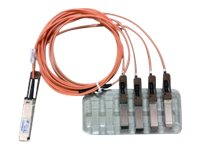 Cisco - Ethernet 40GBase-AOC-kabel - QSFP (hann) til SFP+ (hann) - 7 m - fiberoptisk - SFF-8431/SFF-8436/SFF-8461 - aktiv - gjenfabrikert QSFP-4X10GAOC7M-RF
