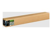 Epson Fine Art II - Bomull - glatt matt - 490 mikroner - naturlig hvitt - Rull (111,8 cm x 15 m) - 300 g/m² - 1 rull(er) boks - klutepapir C13S450265NQ