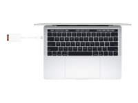 Apple USB-C to SD Card Reader - Kortleser (SD) - USB-C MUFG2ZM/A